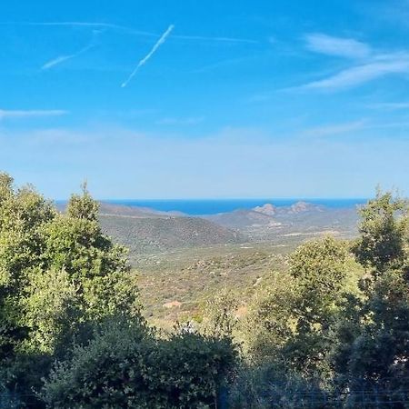Vos Vacances A Lama France Corse المظهر الخارجي الصورة
