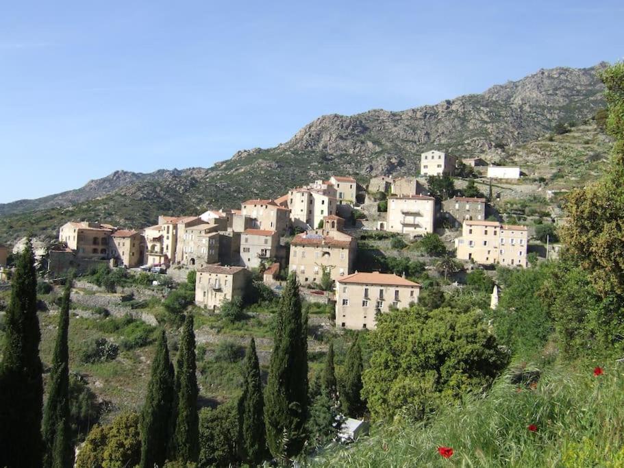 Vos Vacances A Lama France Corse المظهر الخارجي الصورة