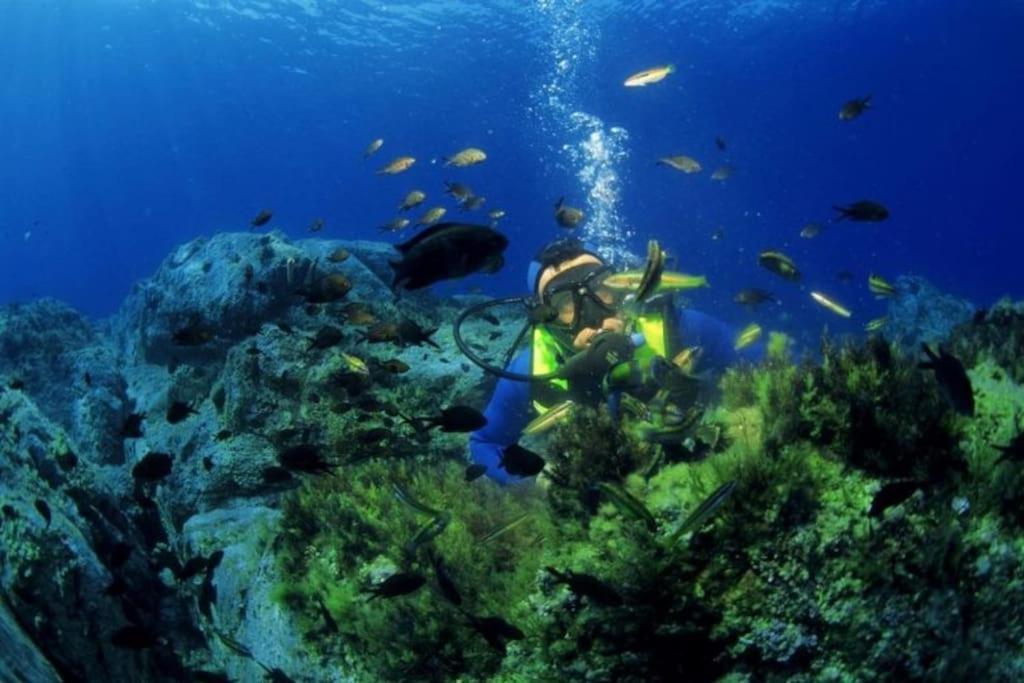Vos Vacances A Lama France Corse المظهر الخارجي الصورة