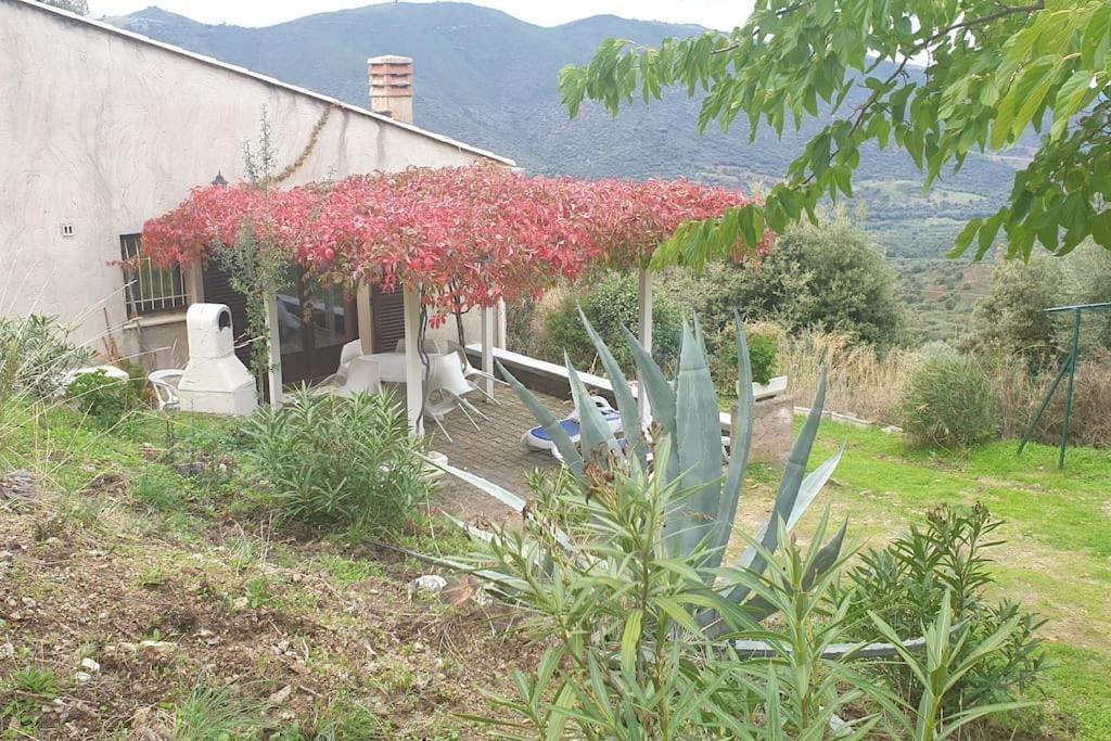 Vos Vacances A Lama France Corse المظهر الخارجي الصورة